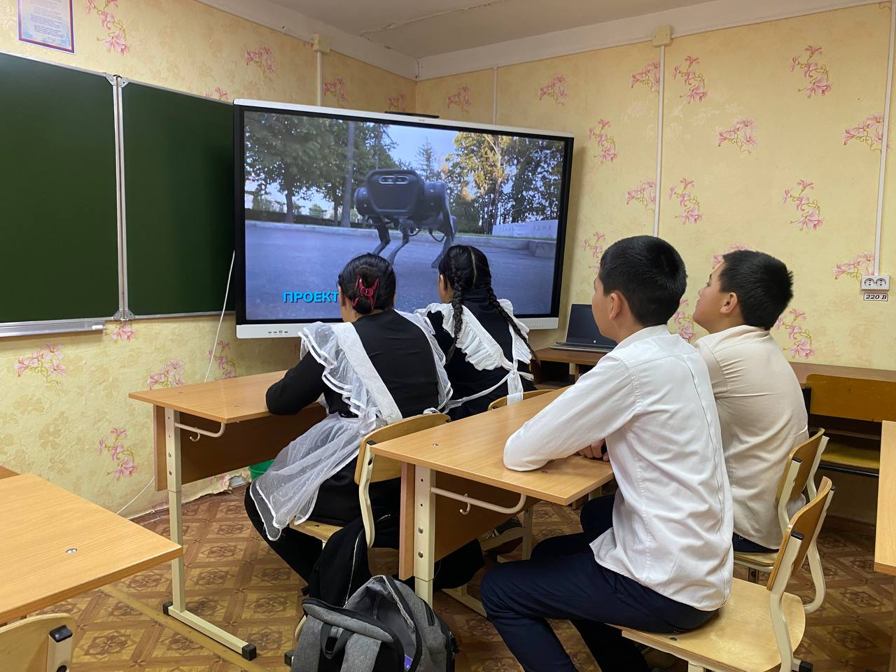 Россия умная: программирование и телекоммуникация.